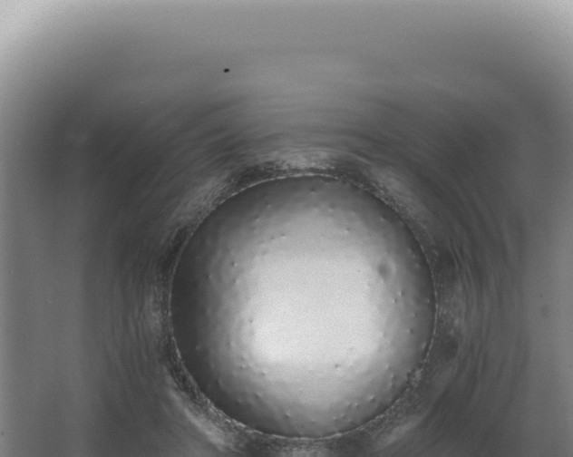 X0000068310402200604281741