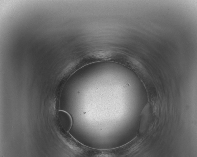 X0000068310404200604281741