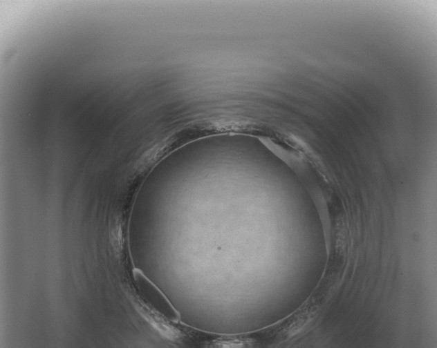 X0000068310405200604281741