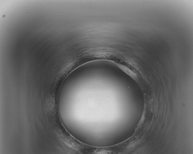 X0000068310407200604281741