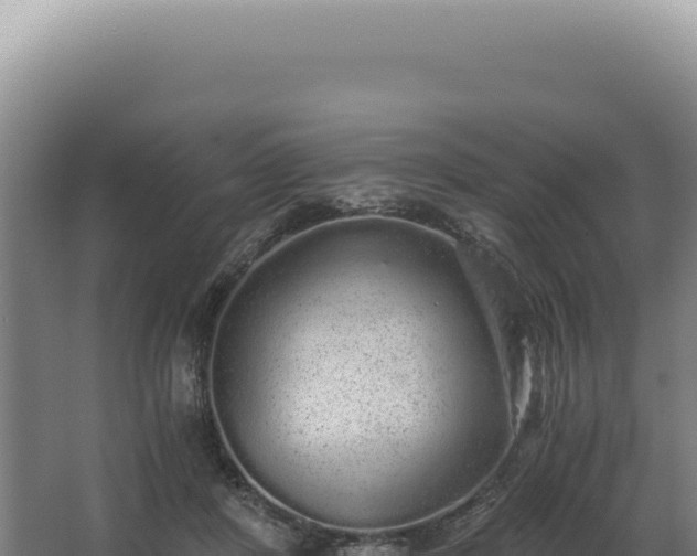 X0000068310408200604281741