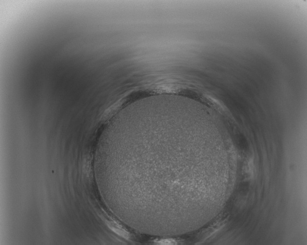 X0000068310409200604281741