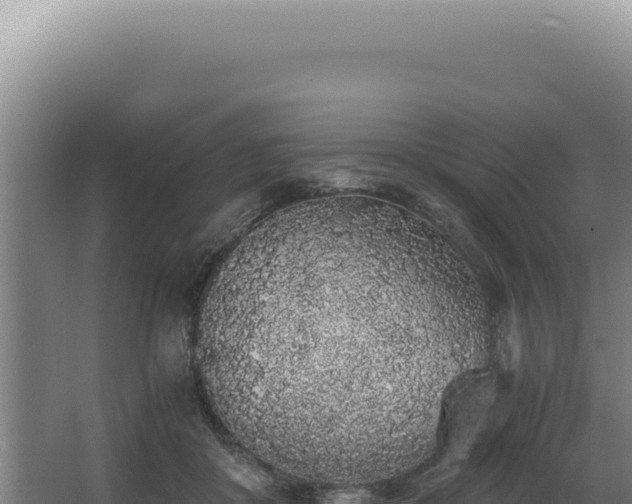 X0000068310410200604281741