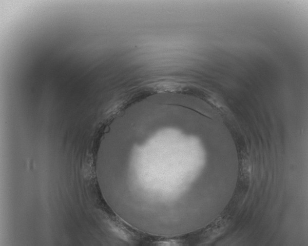 X0000068310411200604281741