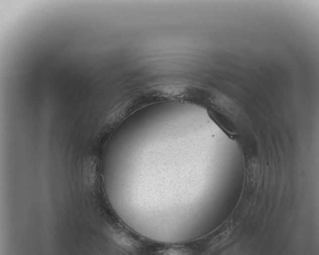 X0000068310412200604281741