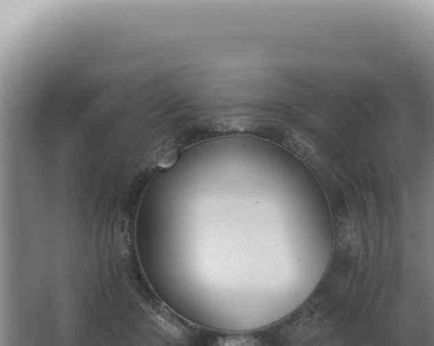 X0000068310414200604281740