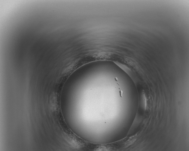 X0000068310416200604281740