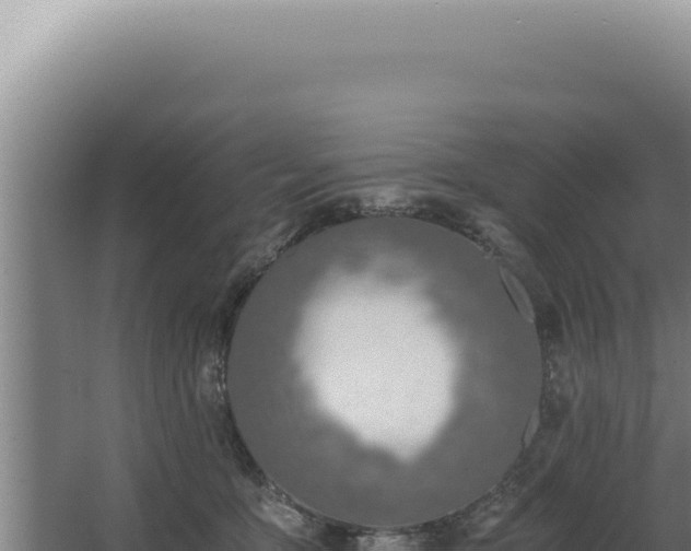 X0000068310419200604281740