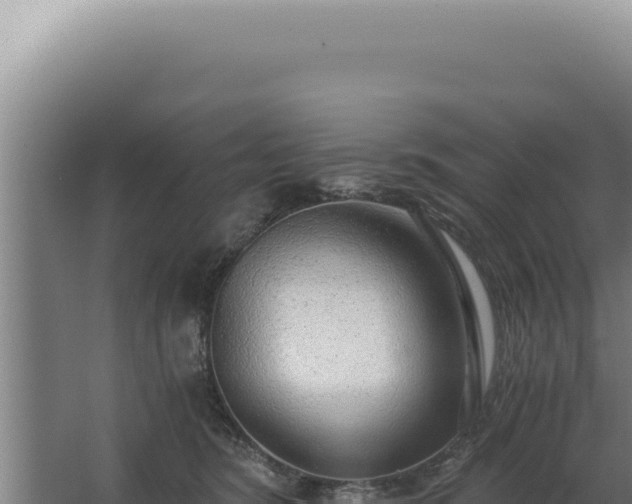 X0000068310420200604281740