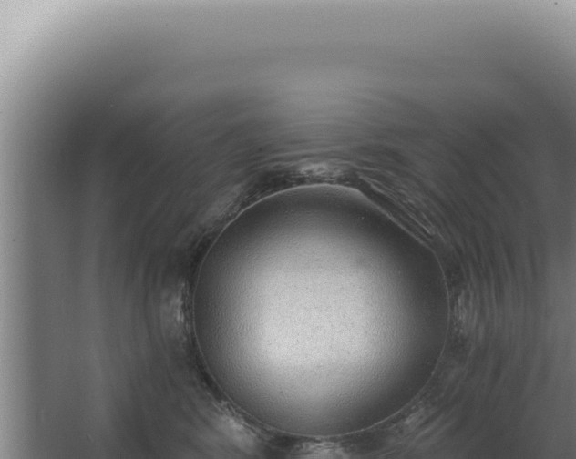 X0000068310424200604281740