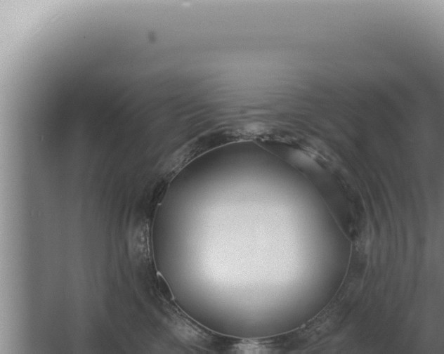 X0000068310425200604281740