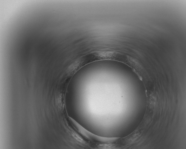 X0000068310428200604281740