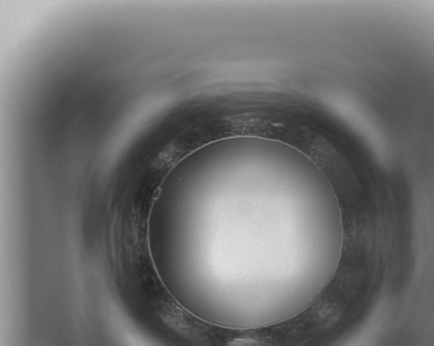 X0000068310430200604281740