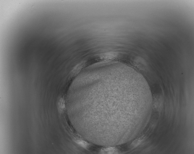 X0000068310431200604281740