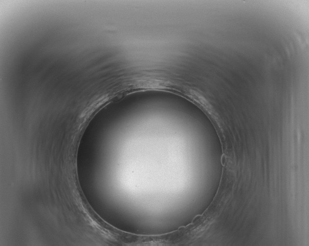 X0000068310433200604281739