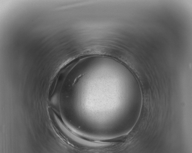 X0000068310434200604281739