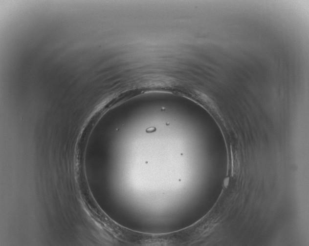 X0000068310435200604281739