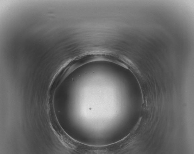 X0000068310436200604281739