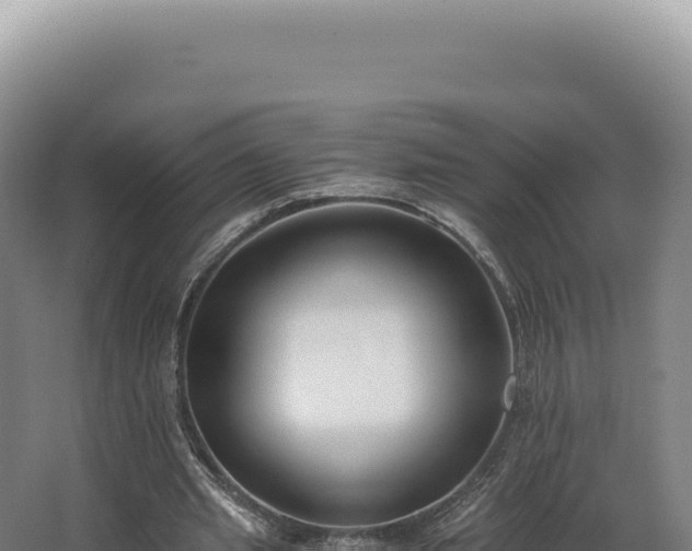 X0000068310437200604281739