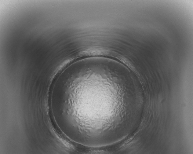 X0000068310438200604281739