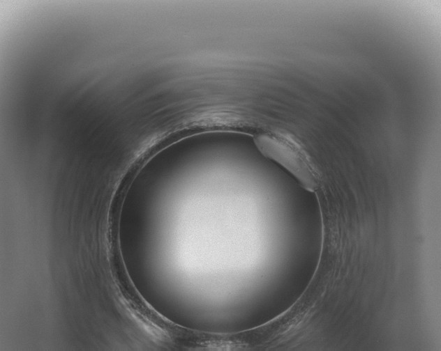 X0000068310439200604281739