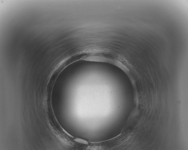 X0000068310440200604281739