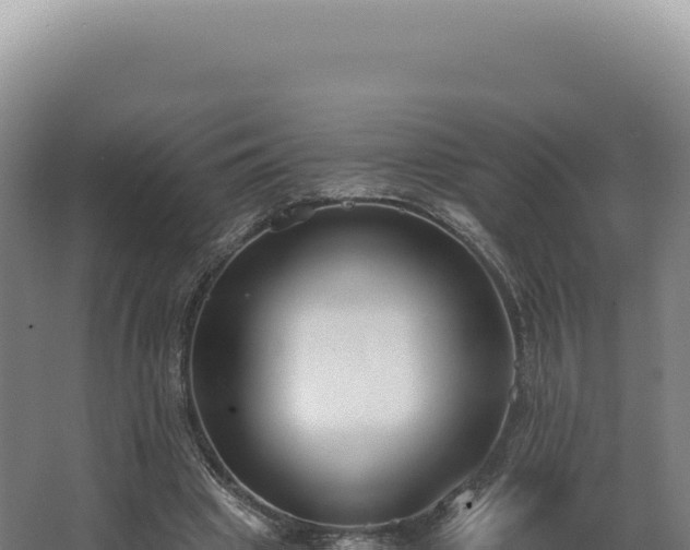 X0000068310441200604281740