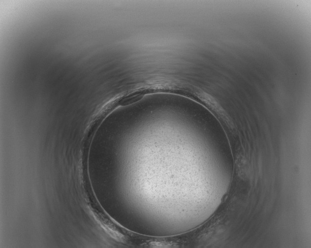 X0000068310442200604281740