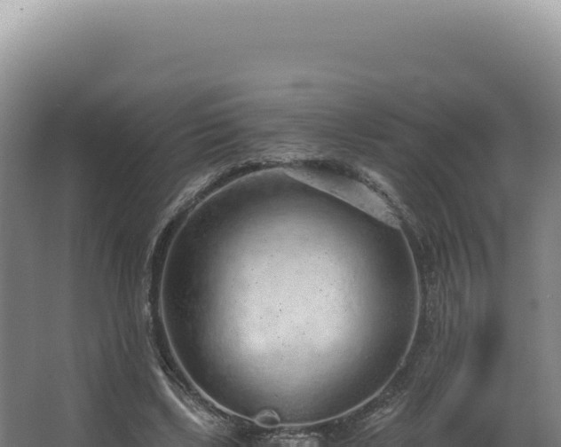 X0000068310443200604281740