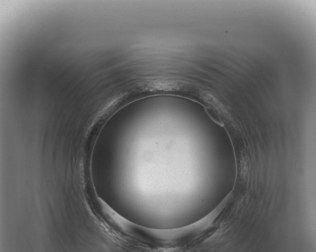 X0000068310444200604281740