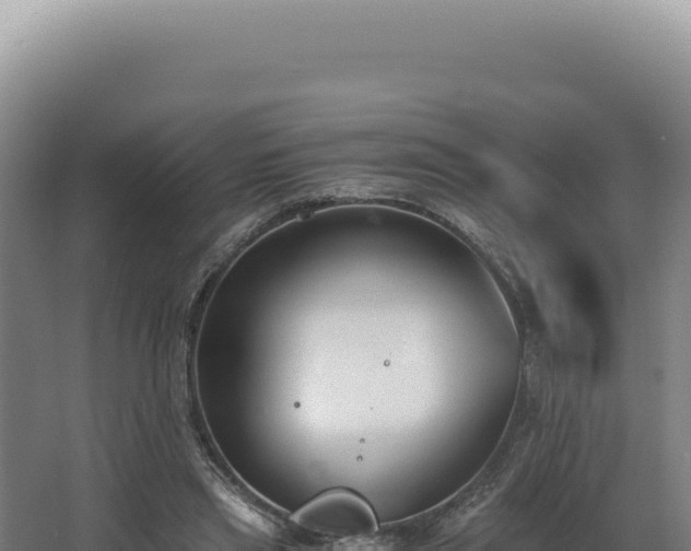 X0000068310445200604281740