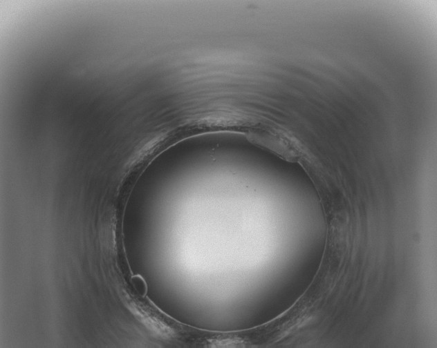 X0000068310446200604281740