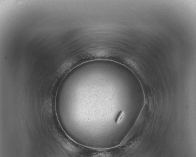 X0000068310447200604281740