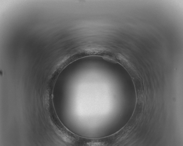 X0000068310448200604281740