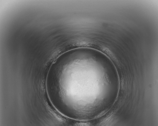 X0000068310449200604281740