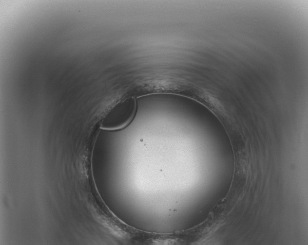 X0000068310450200604281740