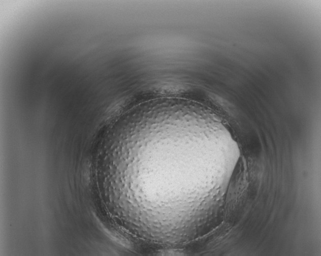 X0000068310451200604281740