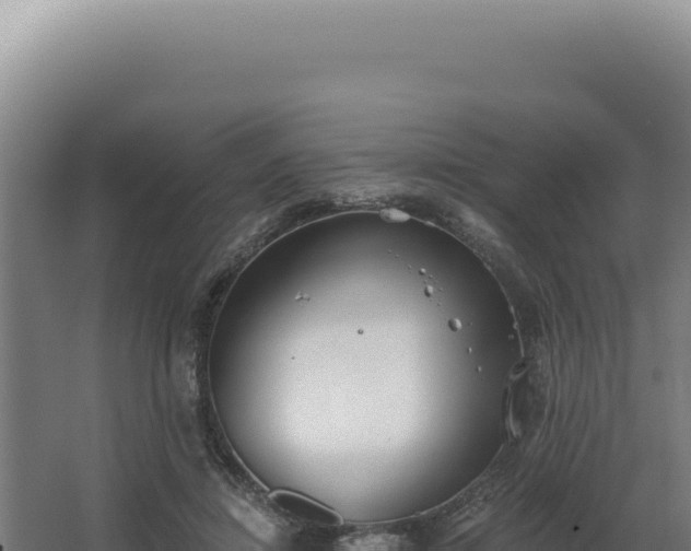 X0000068310452200604281740