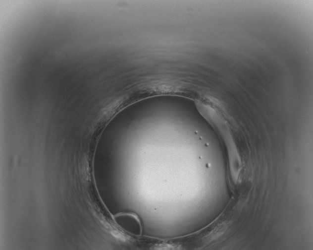 X0000068310453200604281740