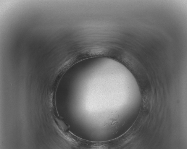 X0000068310454200604281740