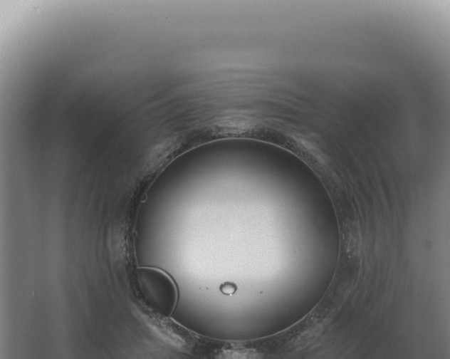 X0000068310455200604281740