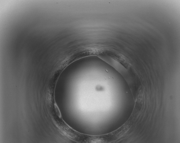 X0000068310456200604281740