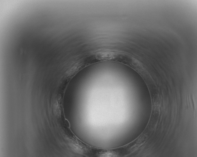 X0000068310460200604281740