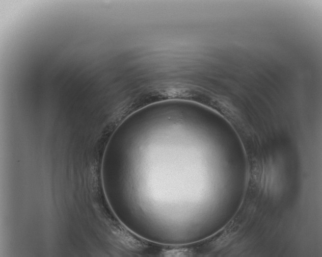 X0000068310461200604281740