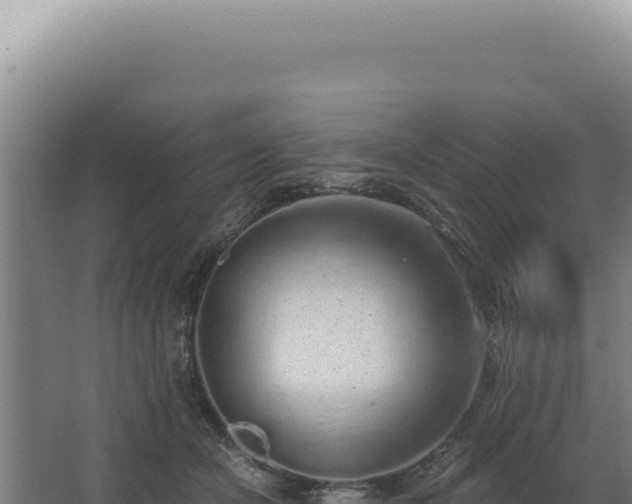 X0000068310462200604281740