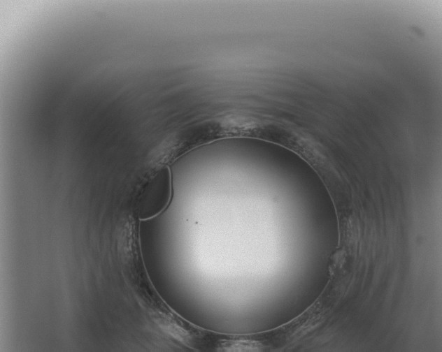 X0000068310463200604281740