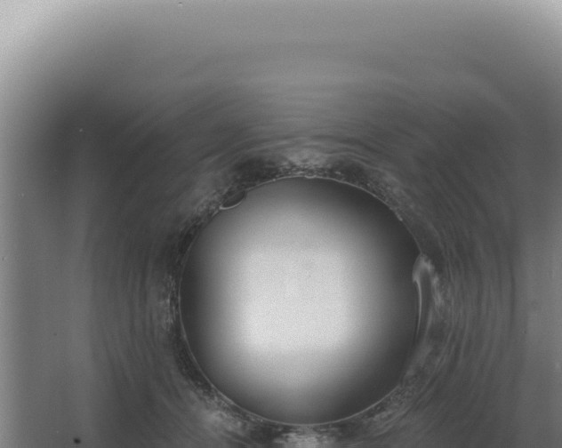 X0000068310464200604281740