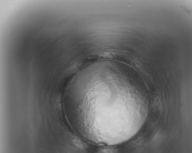 X0000068310466200604281740