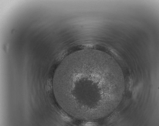 X0000068310467200604281740