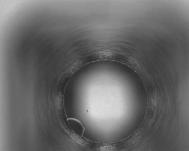 X0000068310468200604281740